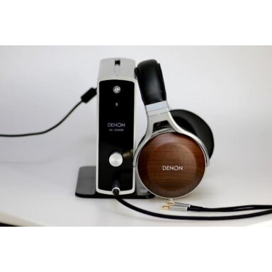 Audiofilinės Ausinės AH-D7200