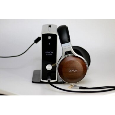 Audiofilinės Ausinės AH-D7200