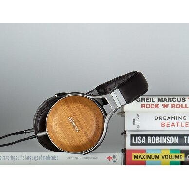 Audiofilinės Ausinės AH-D9200 7