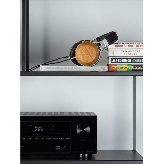 Audiofilinės Ausinės AH-D9200 12