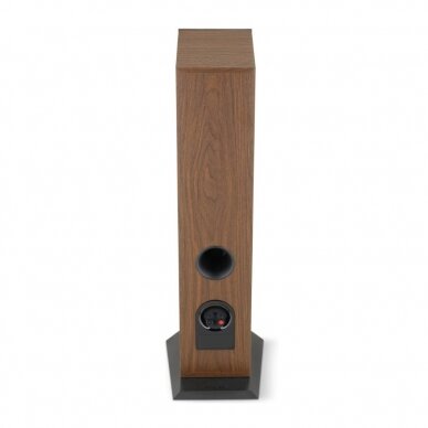 Grindinė kolonėlė Focal Theva No2 5