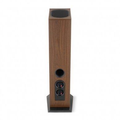 Grindinė kolonėlė Focal Theva No3-D 5 Grindinė kolonėlė Focal Theva No3-D 5