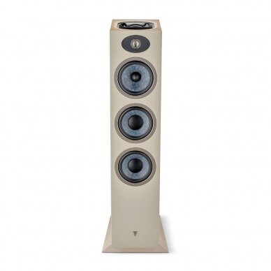 Grindinė kolonėlė Focal Theva No3-D 6