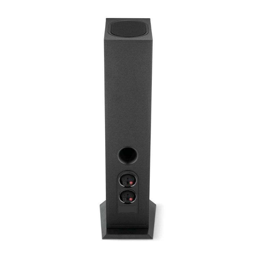 Grindinė kolonėlė Focal Theva No3-D 2