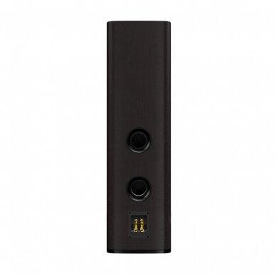 JBL Studio 698 grindinė kolonėlė 2