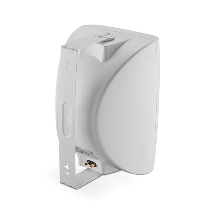 Lauko kolonėlė Focal Custom OD 108 2