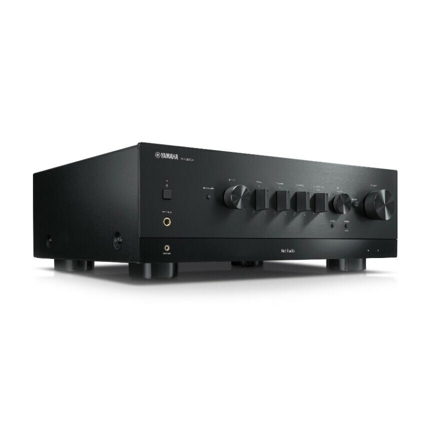 Tinklo grotuvas R-N800A 4