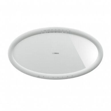 Yamaha MusicCast 50 WX-051 3